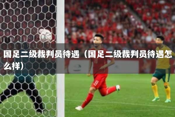 国足二级裁判员待遇（国足二级裁判员待遇怎么样）