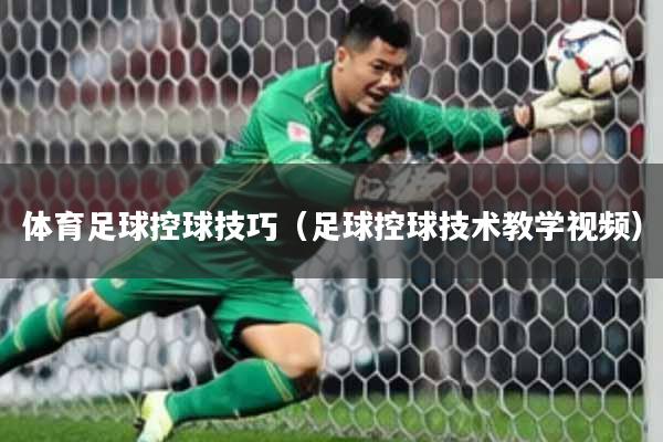 体育足球控球技巧(足球控球技术教学视频)