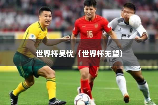 世界杯吴忧（世界杯无望）